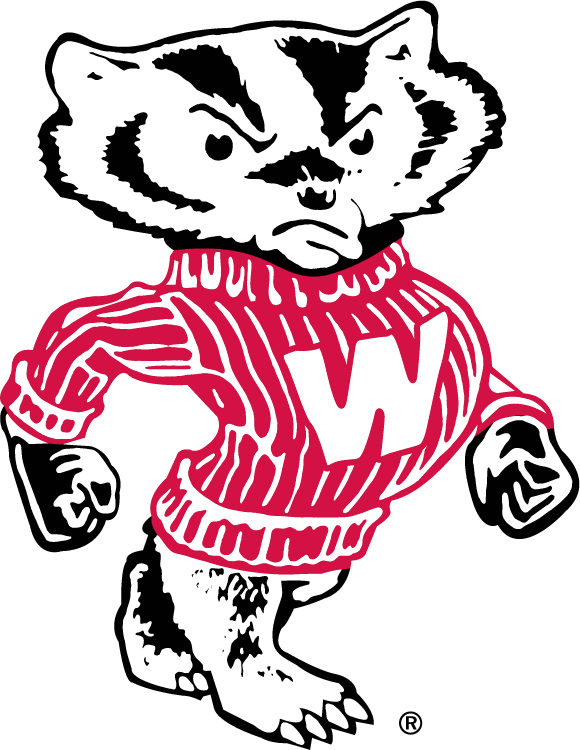 Wisconsin Badgers 1970-2003 Secondary Logo iron on transfers for clothing